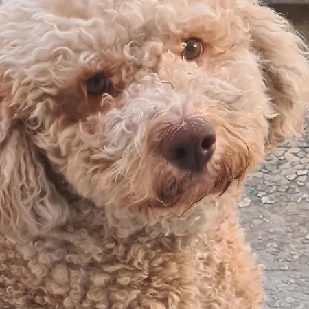 アパート Pretty *