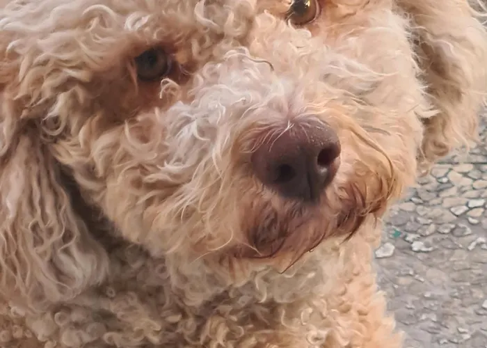 아파트 Pretty *